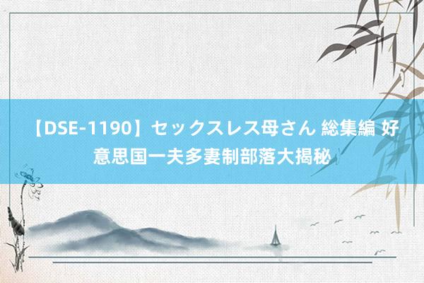 【DSE-1190】セックスレス母さん 総集編 好意思国一夫多妻制部落大揭秘