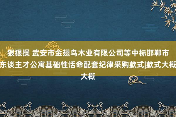 狠狠操 武安市金翅鸟木业有限公司等中标邯郸市东谈主才公寓基础性活命配套纪律采购款式|款式大概