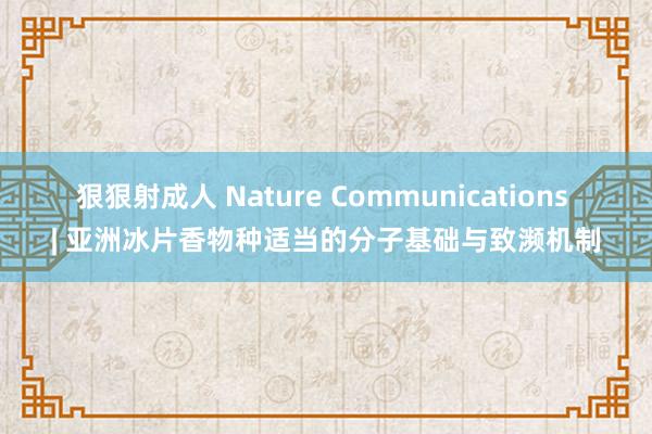 狠狠射成人 Nature Communications | 亚洲冰片香物种适当的分子基础与致濒机制