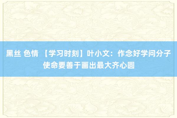 黑丝 色情 【学习时刻】叶小文：作念好学问分子使命要善于画出最大齐心圆