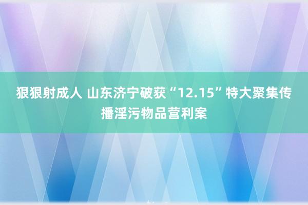 狠狠射成人 山东济宁破获“12.15”特大聚集传播淫污物品营利案